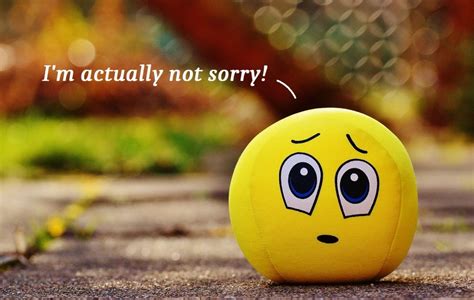 100 Funny Replies And Witty Comebacks To An Apology Pairedlife