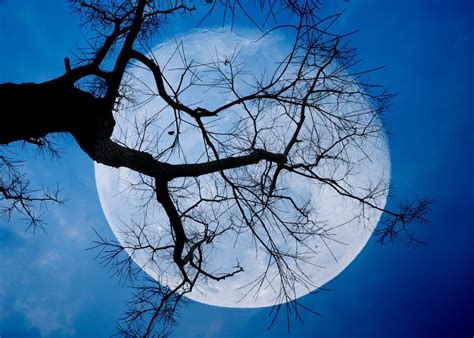 A blue moon is an additional full moon that appears in a subdivision of a year: What a Blue Moon on Halloween Means for Your Zodiac Sign ...