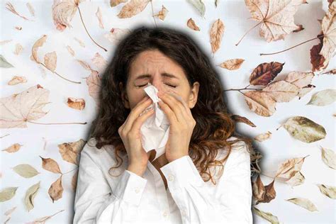 Beware Of Autumn Allergies How To Recognize Them And What Causes Them