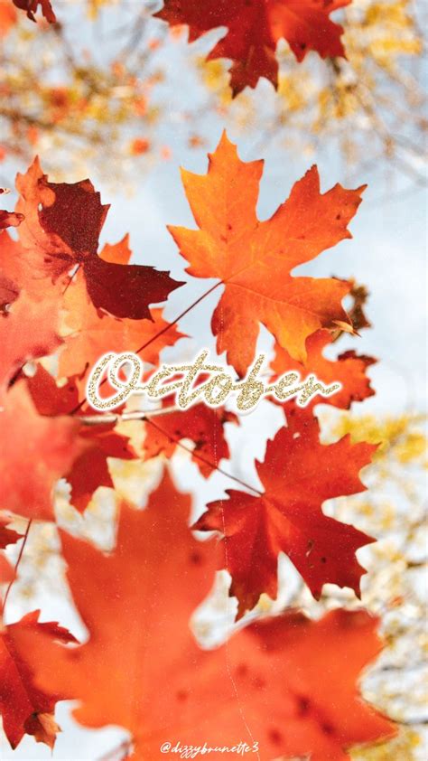 31 Free Amazing Fall Iphone Wallpaper Backgrounds For Fall