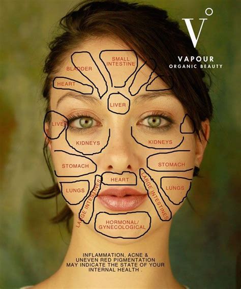 Chinese Face Map How Organs Link To Your Face Natural Health Skin