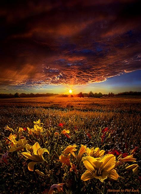 Stunning Horizons Photography By Phil Koch