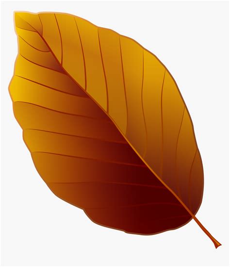 Brown Cliparts Png Leaves Brown Autumn Leaf Clipart Transparent Png