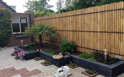 Top 10 Best Bamboo Fencing In 2023 Reviews Buyers Guide