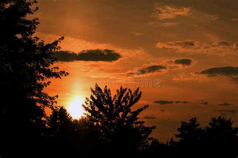 Beautiful Orange Sunset Stock Photo Image Of Sunset 43883586