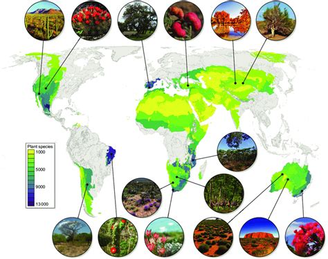 Plant Species Richness Of The Worlds Dryland Ecoregions And Examples