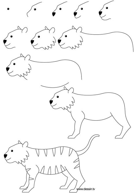 Comment Dessiner Un Tigre Facile Primer