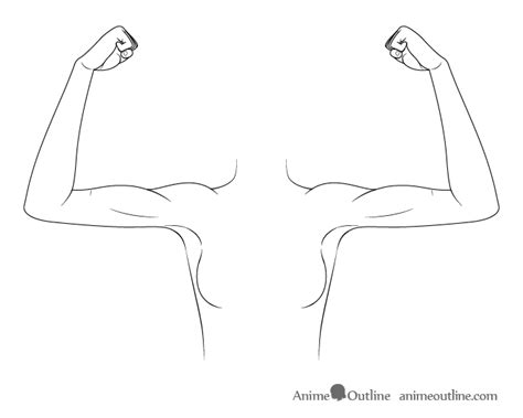 How To Draw Biceps Easy Learn How To Draw The Easy Step By Step Way