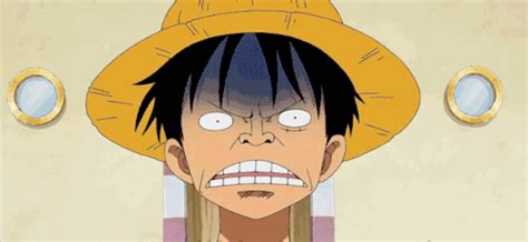 Of The Funniest Anime Faces Ever Luffy Profile Picture