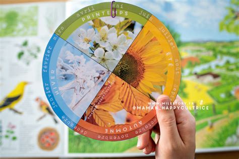 Roue Des Saisons à Imprimer Maternelle Cp Milestoryfr