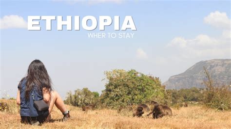 Your Sanctuary, Uncover Bahir Dar's Hidden Treasures: Abay Minch Hotel