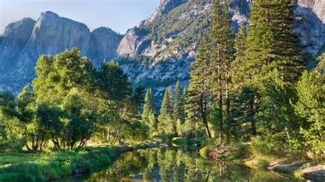Water Mountains Landscapes Nature Forests Cliff Pine Trees Wallpaper
