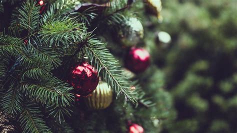 Christmas Tree Ornaments Close Up Blurred Christmas Tree Close Up