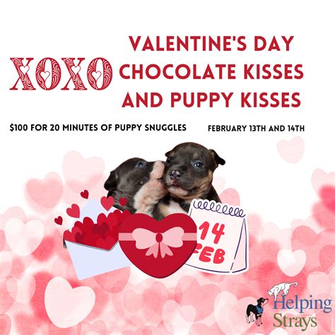 Valentines Day Chocolate Kisses And Puppy Kisses Helping Strays