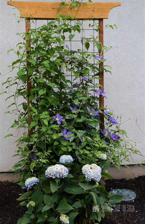 How To Make A Modern Plant Trellis For Climbing Flowers
