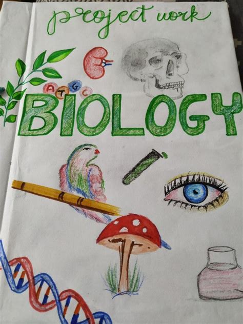Biology Notebook Cover Ideas Mark Library