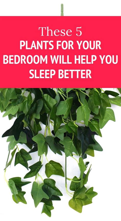 These 5 Plants For Your Bedroom Will Help You Sleep Better Natural