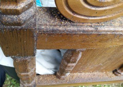 Got cockroaches and need to call in a pro? Home Inspection and Pest Conrol Services. Richmond IN.