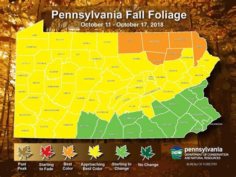 Fall Foliage Season In Pennsylvania Wait For It Part 2