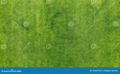 Aerial Green Grass Texture Background Top View From Drone Royalty