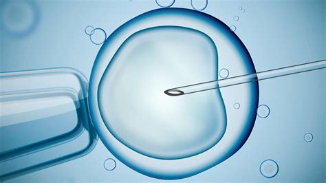 Assisted Reproduction Center For Genetics And Society