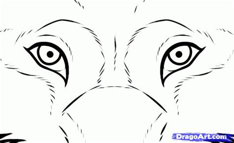 How To Draw Wolf Eyes By Dawn Wolf Eyes Wolf Drawing Wolf Eye Drawing