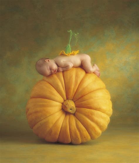 Amelia Rose 9 Weeks Anne Geddes Baby In Pumpkin Geddes
