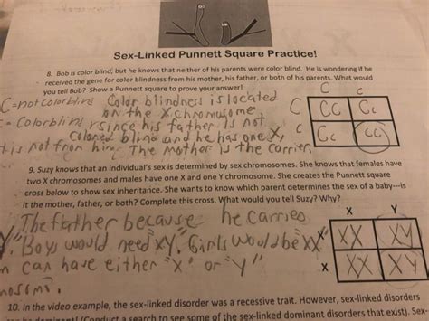 35 Sex Linked Traits Worksheet Answers Combining Like Terms Worksheet Free Nude Porn Photos