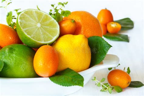 Citrus Fruits Stock Photo Image Of Ripe Isolated Lemon 31416286