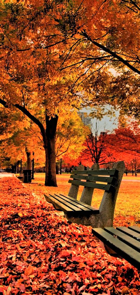 Autumn Mobile Wallpapers Top Free Autumn Mobile Backgrounds