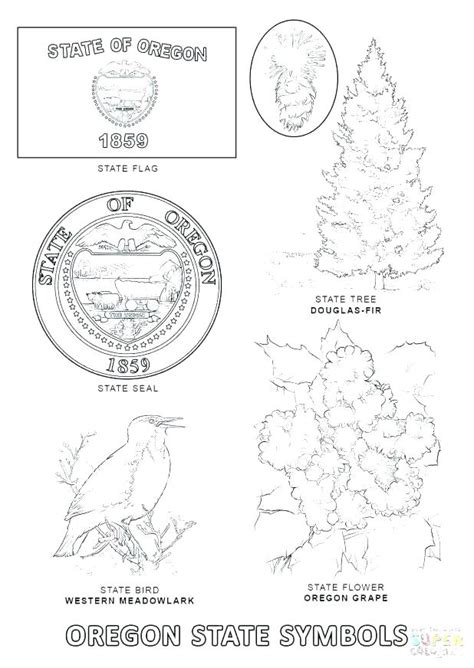 North Carolina State Symbols Coloring Pages at ...