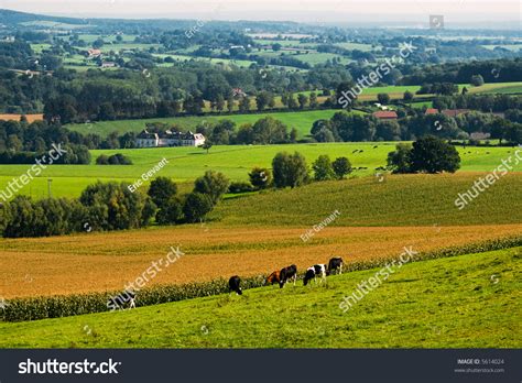 Beautiful Farmland Landscape In Autumn Stock Photo 5614024 Shutterstock