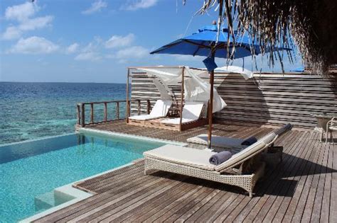 Overwater Bungalow Private Pool Picture Of Dusit Thani Maldives Baa