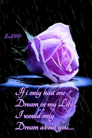 Sweet GIF - Find & Share on GIPHY