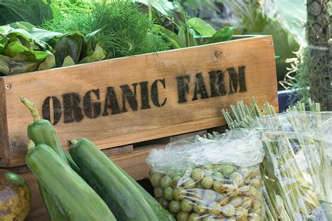 5 Reasons Getting Usda Organic Certification Is Really Difficult