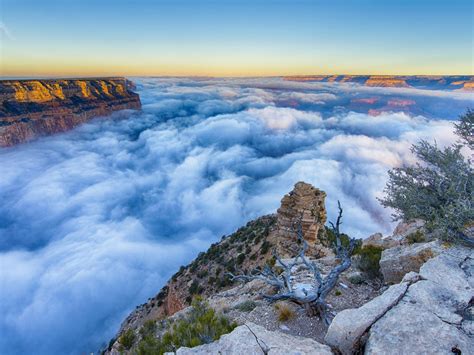Morning Foggy In National Park Grand Canyon Arizona Landscape Nature Hd