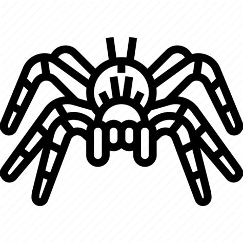 Spider Tarantulas Arachnid Exotic Danger Icon Download On Iconfinder