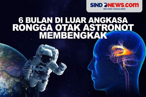 Sindografis 6 Bulan Tinggal Di Luar Angkasa Rongga Otak Astronot