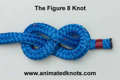 Figure 8 Double Loop How To Tie The Figure 8 Double Loop Knots