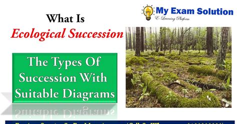 What Is Ecological Succession Explain The Types Of Succession With Suitable Diagrams My Exam