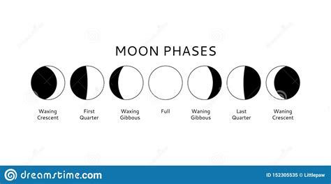 Moon Phases Set Calendar Symbols Vector Illustration Stock Vector