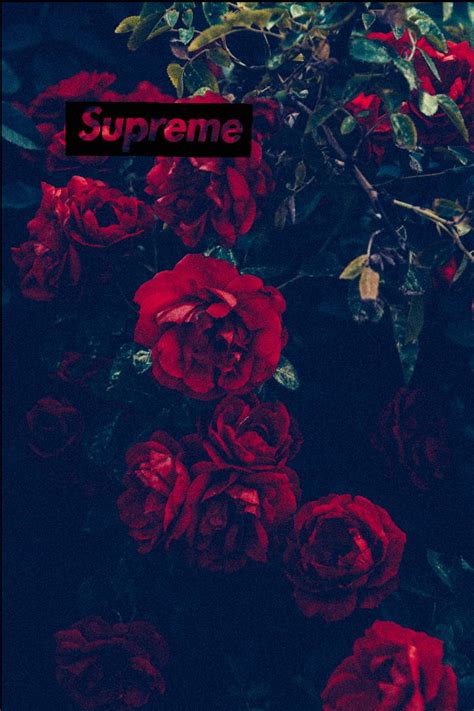 You will need to change this first so others can see your gamerpic instead of the avatar. Supreme Rose Wallpapers - Top Free Supreme Rose ...