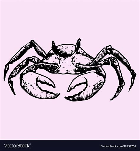 Crab Royalty Free Vector Image - VectorStock , #Aff, #Free, #Royalty, #Crab, #VectorStock #AD ...