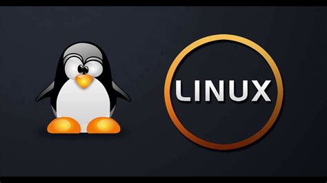 Top 5 Most Popular Linux Distributions In 2020 Do You Use Any Of Them