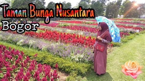 Wisata ke Taman bunga Nusantara Bogor - YouTube
