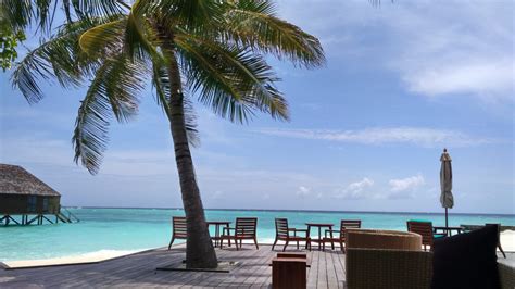 Zum Genießen Veligandu Island Resort And Spa Rasdhoo • Holidaycheck Alif Alif Atoll Malediven