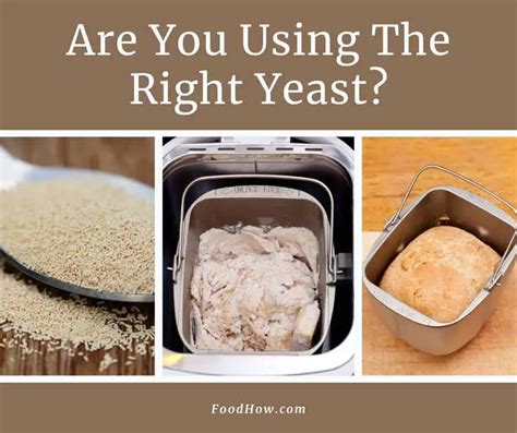 The Best Yeast For Bread Machines Dry Fresh Or Rapid Rise