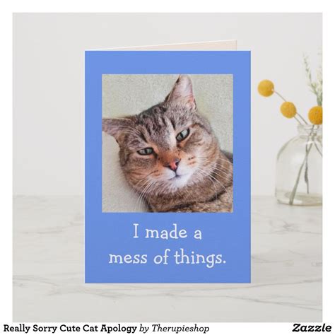 Really Sorry Cute Cat Apology Card In 2020 Apology Cards