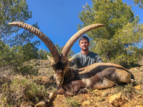 Trip Report Trophy Ibex In Spain Gordie White Worldwide Safaris