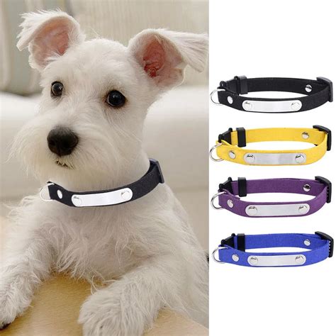 Types Of Dog Collars Tips On How To Choose Read Cdn